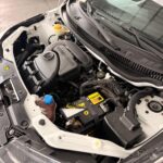 Fiat Strada Endurance 1.4 CS Plus 2021